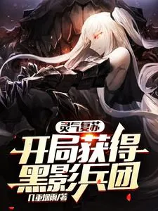 《灵气复苏：开局获得黑影兵团》小说封面