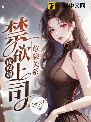 《危险关系：禁欲上司夜痴缠》小说封面