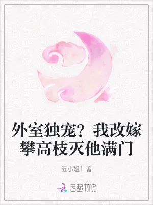 《外室独宠?我改嫁攀高枝灭他满门》小说封面