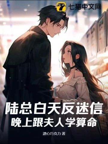 《陆总白天反迷信，晚上跟夫人学算命》小说封面