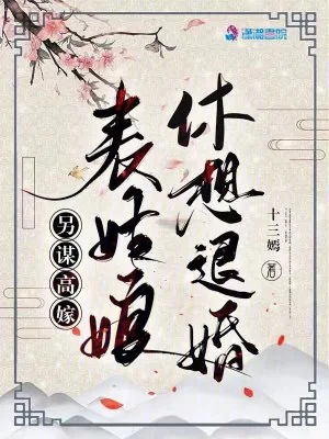 《另谋高嫁：表姑娘休想退婚》小说封面
