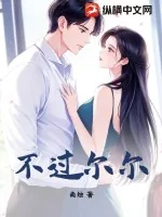 《不过尔尔》小说封面