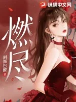 《燃尽》小说封面