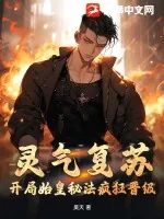 《灵气复苏开局始皇秘法疯狂晋级》小说封面