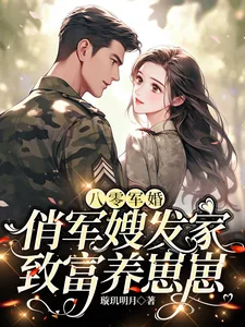 《八零军婚，俏军嫂发家致富养崽崽》小说封面
