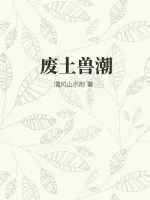 《书籍1396033》小说封面