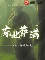 《东北萨满》小说封面