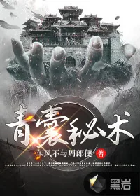 《青囊秘术》小说封面