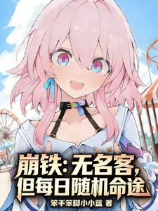 《崩铁：无名客，但每日随机命途》小说封面