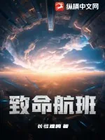 《致命航班》小说封面