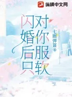 《闪婚后只对你服软》小说封面