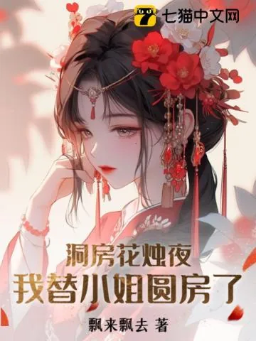 《洞房花烛夜，我替小姐圆房了》小说封面