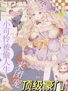 《小可怜被偷人生，顶级豪门来团宠》小说封面