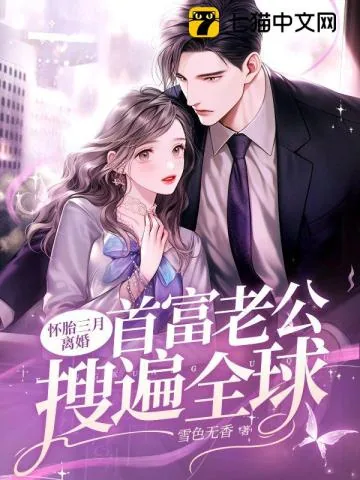 《怀胎三月离婚，首富老公搜遍全球》小说封面