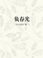 《负春光》小说封面