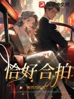 《恰好合拍》小说封面