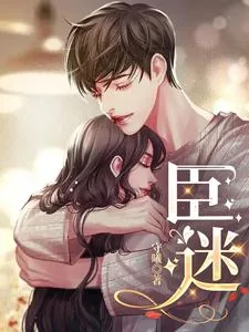 《臣迷》小说封面