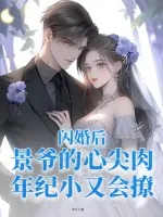 《闪婚后，景爷的心尖肉年纪小又会撩》小说封面