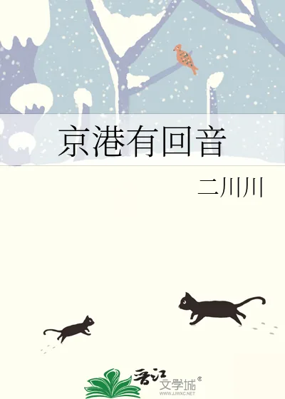 《京港有回音》小说封面