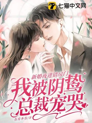 《新婚夜进错房门，我被阴鸷总裁宠哭》小说封面