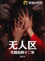 《无人区失踪后的十二年》小说封面