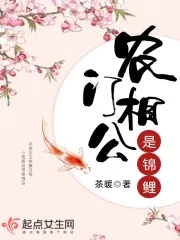 《农门相公是锦鲤》小说封面