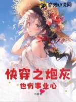 《快穿之炮灰也有事业心》小说封面