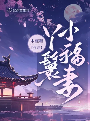《丫鬟小福妻》小说封面