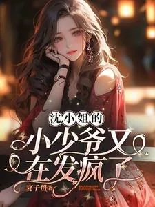 《沈小姐的小少爷又在发疯了》小说封面