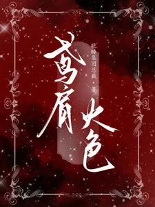 《鸢肩火色》小说封面