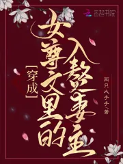 《穿成女尊文里的入赘妻主》小说封面