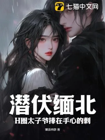 《潜伏缅北：H圈太子爷捧在手心的刺》小说封面