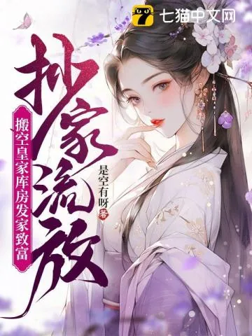 《抄家流放，搬空皇家库房发家致富》小说封面