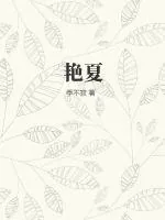 《艳夏》小说封面