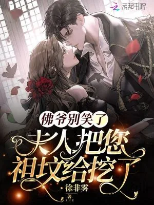 《佛爷别笑了，夫人把您祖坟给挖了》小说封面