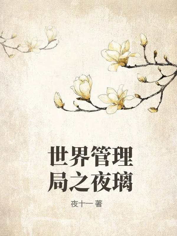 《世界管理局之夜璃》小说封面