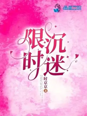 《限时沉迷》小说封面