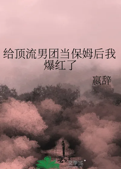 《给顶流男团当保姆后我爆红了》小说封面