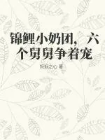 《锦鲤小奶团，六个舅舅争着宠》小说封面