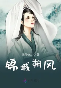 《锦城朔风》小说封面