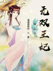 《重生之无双王妃》小说封面