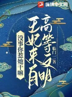 《没事你惹她干嘛,王妃来自高等文明》小说封面
