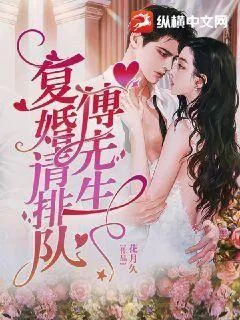 《傅先生，复婚请排队》小说封面