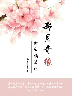 《新白娘子传奇续篇之新月奇缘》小说封面