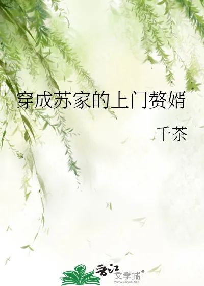 《穿成苏家的上门赘婿》小说封面