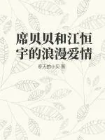 《席贝贝和江恒宇的浪漫爱情》小说封面
