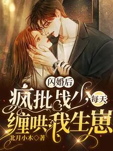 《闪婚后,疯批战少每天缠哄我生崽》小说封面