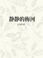 《静静的梅河》小说封面