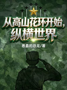 《从高山花环开始纵横世界》小说封面