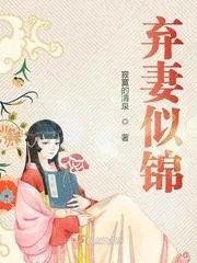 《弃妻似锦》小说封面